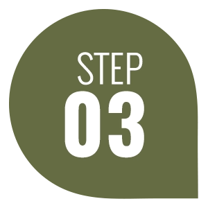 Step 03